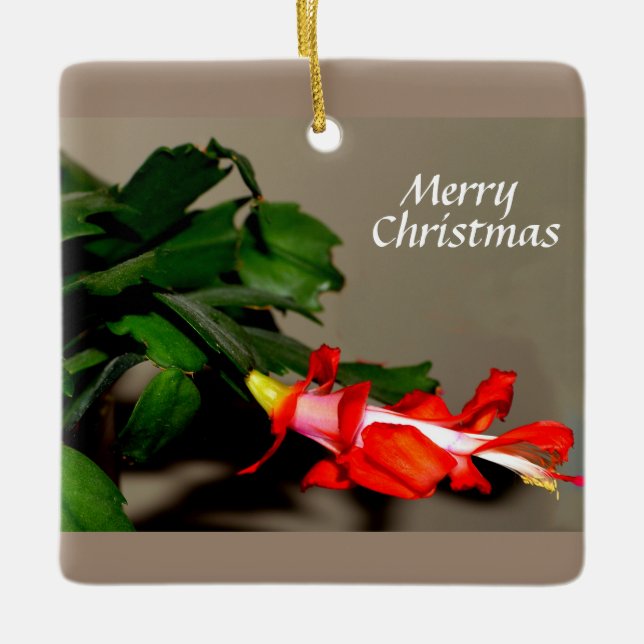 Ornamento De Cerâmica Feliz Natal Cactus (Frente)