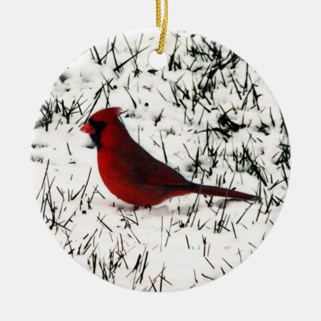 Ornamento De Cerâmica Feliz Natal Cardinal (Frente)