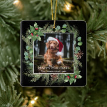 Feliz Natal Coroa de Fotos de Pet