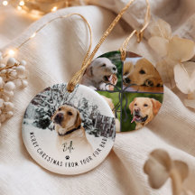 Feliz Natal do Seu Bebê de Pelo 5 Foto Cachorro