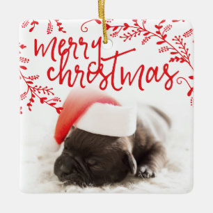 Ornamento De Cerâmica Feliz Natal Red Branch Foto Personalizada Pet