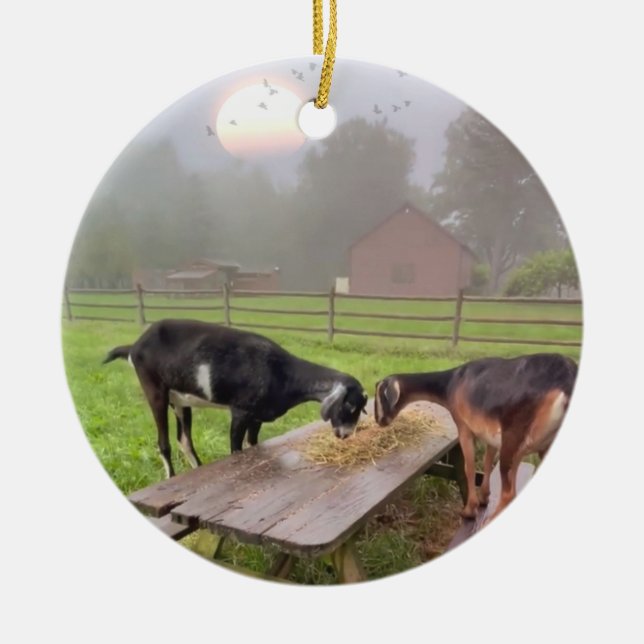 Ornamento De Cerâmica Felizes Caprinos Ao Sol (Frente)