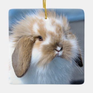 Ornamento De Cerâmica Felpudo Holland Mini Dwarf Lop Bunny Rabbit