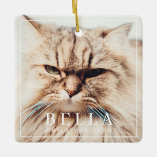 Ornamento De Cerâmica Feriado de Fotos de Pet da Família Chic Moderna de