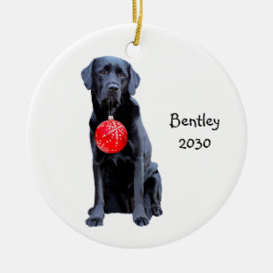 Ornamento De Cerâmica Feriado de Labrador de Pet de Natal em laboratóri
