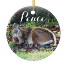 Feriado de Paz em Foto de Velho