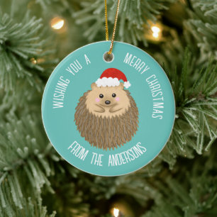 Ornamento De Cerâmica Feriado Fresco Bonito