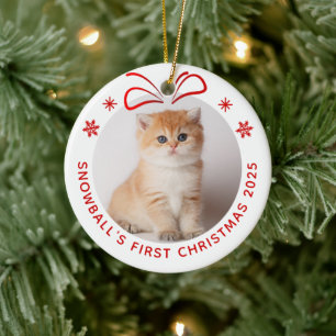 Ornamento De Cerâmica Feriado Personalizado de Fotografia do Gatinho Pet