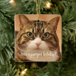 Ornamento De Cerâmica Feriado Personalizado para Memória de Pet de Cat