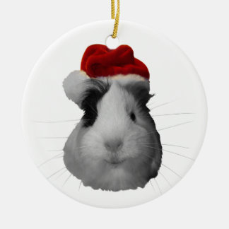 Ornamento De Cerâmica Feriados do Natal da cobaia do porco de Papai Noel