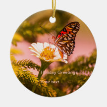 Feriados em borboleta trópica e árvore de Natal