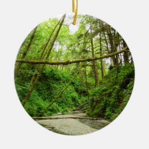 Ornamento De Cerâmica Fern Canyon I no Parque Nacional de Redwood