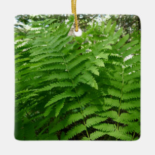 Ornamento De Cerâmica Fern Fronds IV Natureza Verde Botânica