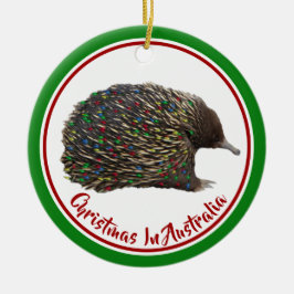 Ornamento De Cerâmica Festiva Austrália Echidna vestindo Luzes de Natal