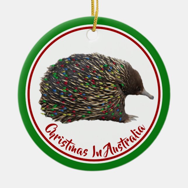Ornamento De Cerâmica Festiva Austrália Echidna vestindo Luzes de Natal (Frente)