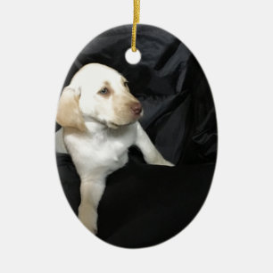 Ornamento De Cerâmica Filhote de cachorro amarelo Sadie do laboratório