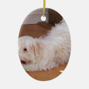 Ornamento De Cerâmica Filhote de cachorro branco de Havanese que joga
