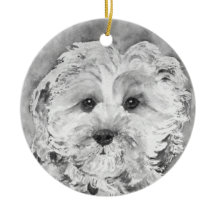 Filhote de cachorro de Cavapoo