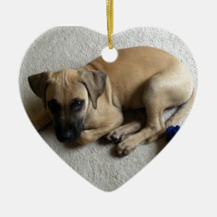 Ornamento De Cerâmica filhote de cachorro do cur da Preto-boca com