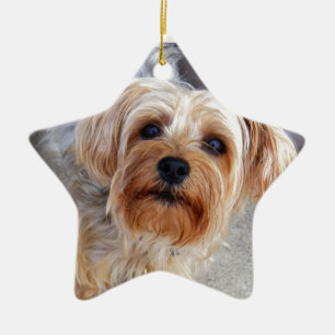 Ornamento De Cerâmica Filhote de cachorro feliz de Yorkie