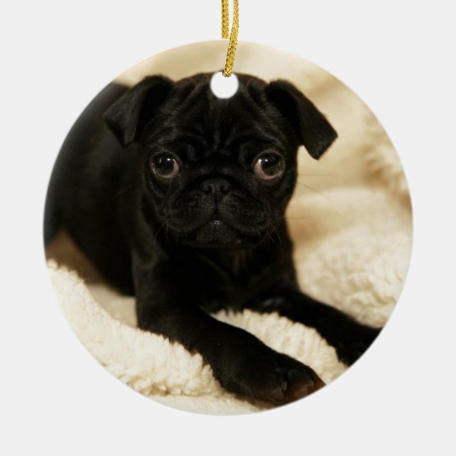 Ornamento De Cerâmica Filhote de cachorro preto do Pug (Frente)