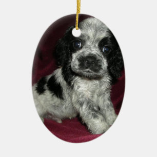 Ornamento De Cerâmica filhote de cachorro roan de cocker spaniel do
