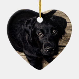 Ornamento De Cerâmica Filhote de Labrador Retriever Preto na Madeira