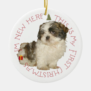 Ornamento De Cerâmica Filhote de Shih Tzu Primeiro Natal
