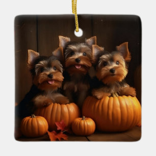 Ornamento De Cerâmica Filhote de Yorkshire Terrier Outono Delícia Abóbor