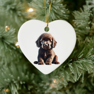 Ornamento De Cerâmica Filhote Personalizado de Spaniel de Água Irlandês