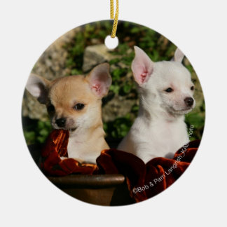 Ornamento De Cerâmica Filhotes de cachorro da chihuahua