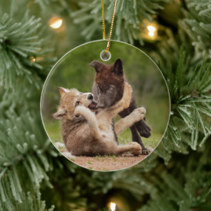 Ornamento De Cerâmica Filhotes de Lobo Cinzento Lutando