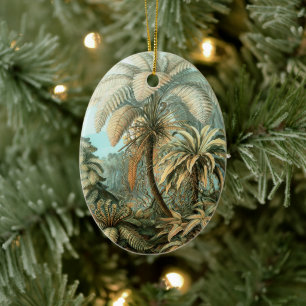 Ornamento De Cerâmica Filicinae por Ernst Haeckel, Plantas de Samambaia 