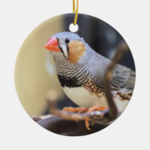 Ornamento De Cerâmica Finch