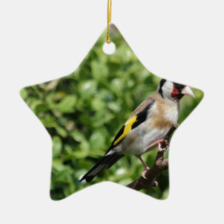 Ornamento De Cerâmica FInch