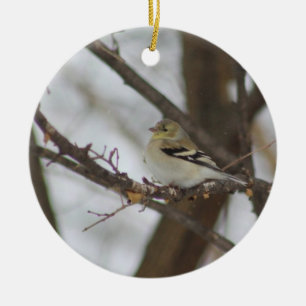 Ornamento De Cerâmica Finch Ornament