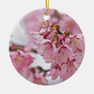 Ornamento De Cerâmica Flor de Cerejeira Sakura Rosa Pálido