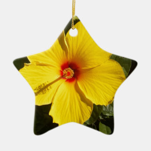 Ornamento De Cerâmica Flor de Hibiscus Amarelo