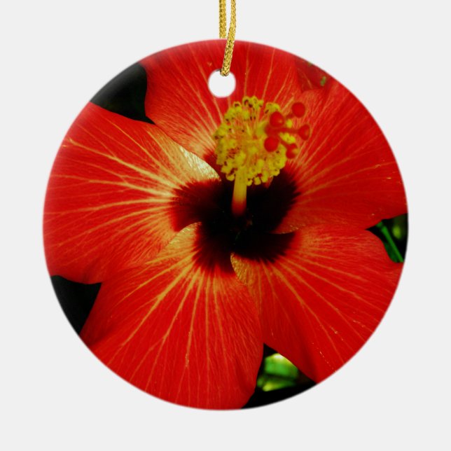Ornamento De Cerâmica Flor de Hibiscus Vermelho Brilhante (Frente)