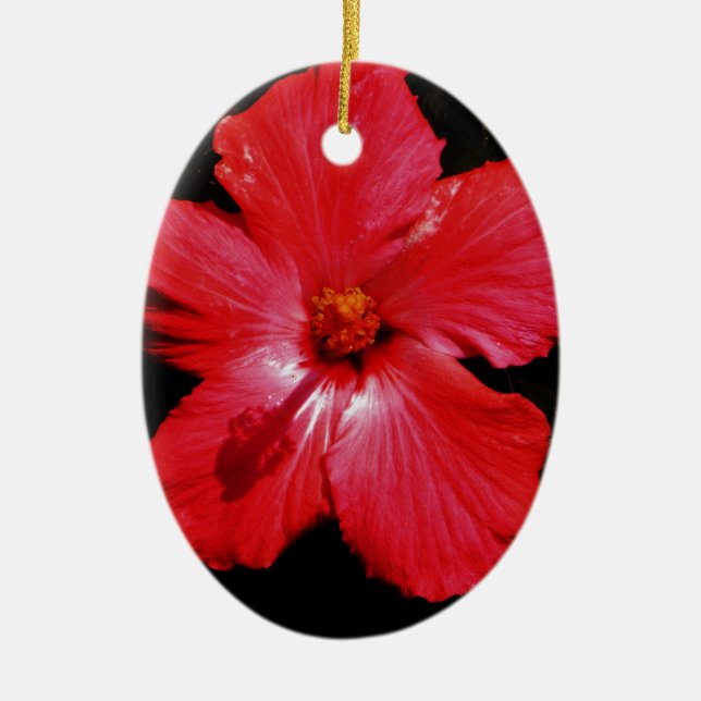 Ornamento De Cerâmica Flor de Hibiscus Vermelho Rosa-Quente a Preto (Frente)