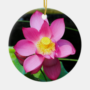 Ornamento De Cerâmica Flor de Lotus Rosa Quente