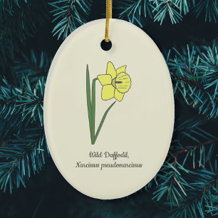 Ornamento De Cerâmica Flor de Pastel de Daffodil Selvagem Botânica