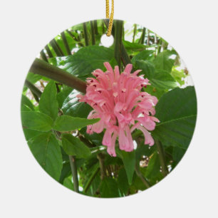 Ornamento De Cerâmica Flor de pluma brasileira