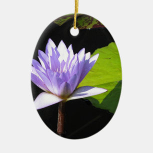 Ornamento De Cerâmica Flor do Lilac com as almofadas de Lili em jardins