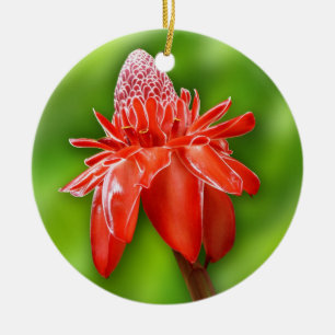 Ornamento De Cerâmica Flor Exótico Rosa de Feijão Vermelho