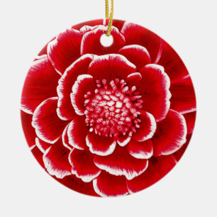 Ornamento De Cerâmica Flor Grande Vermelho e Branco Dahlia