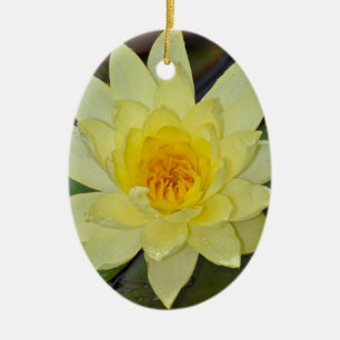 Ornamento De Cerâmica Flor lírio de água amarela