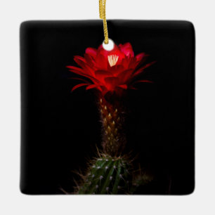 Ornamento De Cerâmica Flor Red Toch Cactus