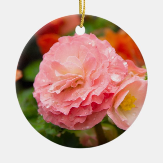 Ornamento De Cerâmica Flor rosa delicada após a chuva (Frente)