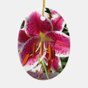 Ornamento De Cerâmica Flor rosa-rosa-rosa-rosa-rosa-rosa-rosa-rosa-rosa,